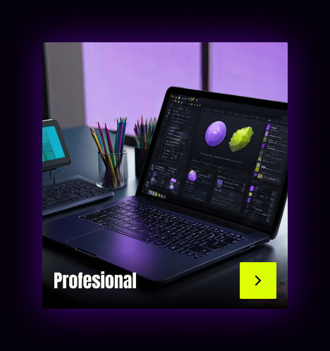 Profesional