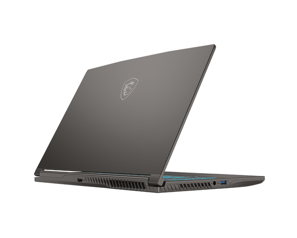 MSI THIN 15 B13VE - 3047US
