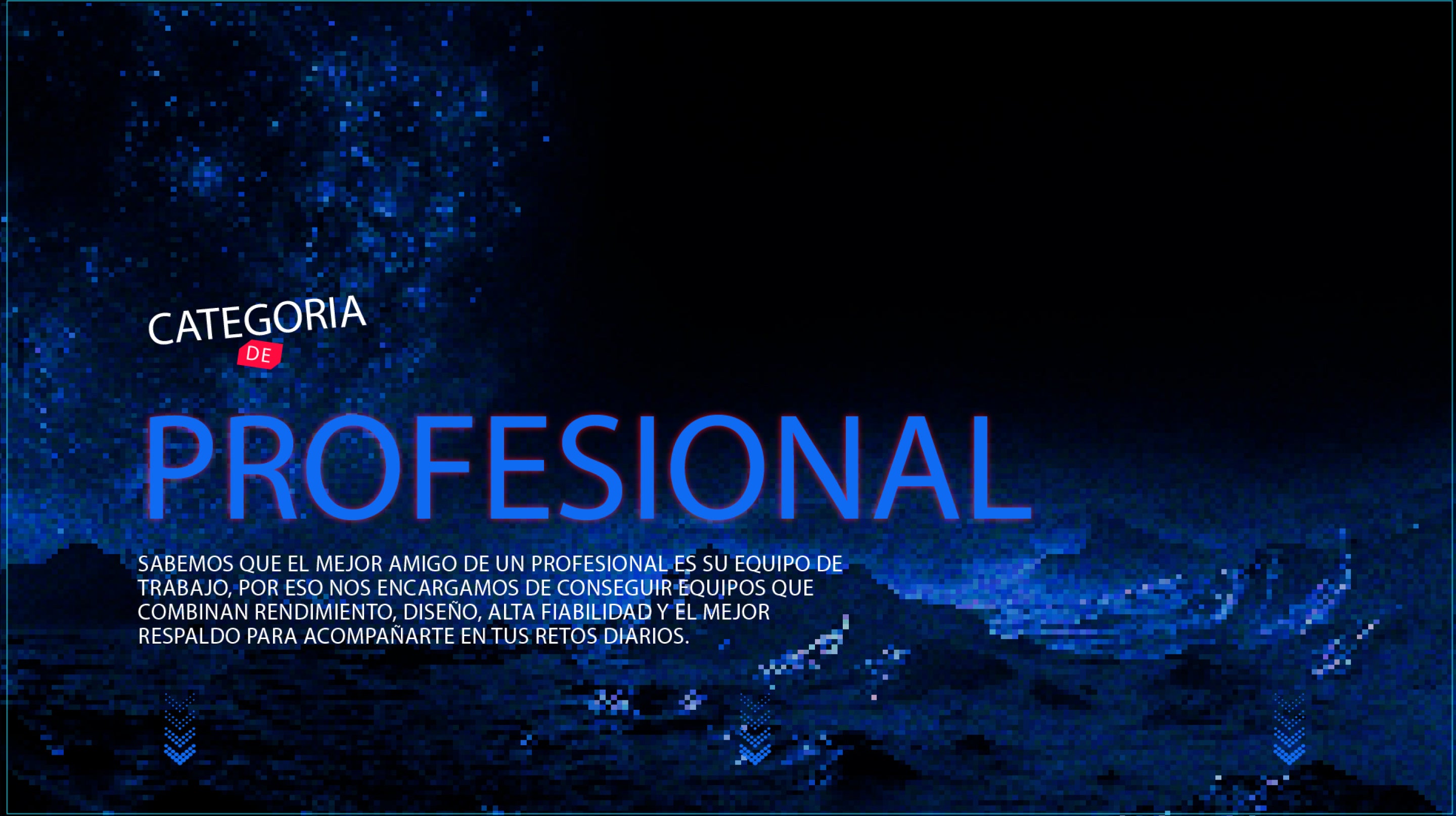 Profesional